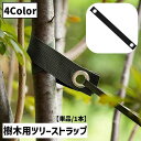 送料無料 樹木用 ツリーストラップ ナイロンストラップ 単品 1本 固定バンド 園芸 ガーデニング 農業 平ら キズ防止 傷防止 耐久性 サポート 支える 固定 負担分散 傾いた木 枝 幹 木 保持 誘引 風から守る 揺れを防ぐ 災害対策 被害対策 アウトドア テント ペグ 便利