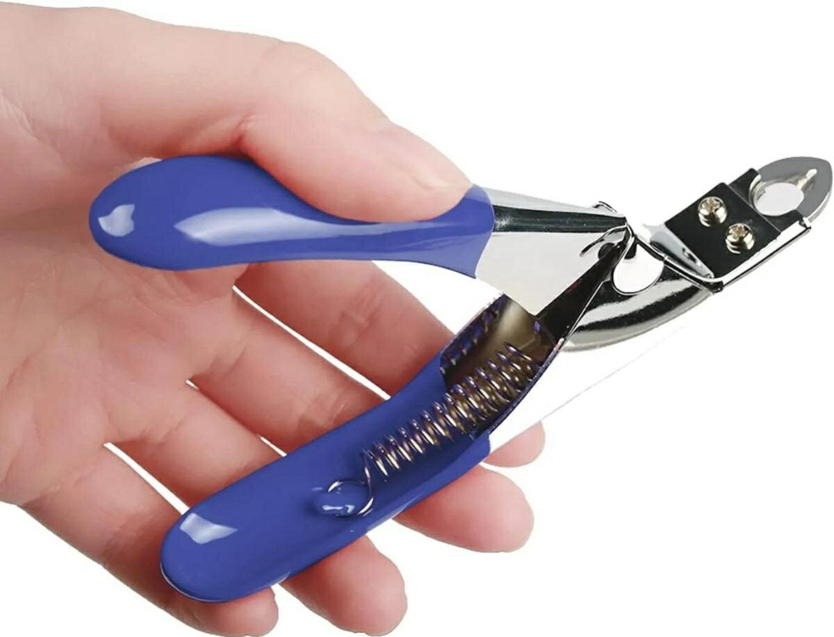 ����̵�� �ڥå������ڤ� �Ĥ��ڤ� �ͥ��륫�å��� �� ǭ ���� �ͤ� �ڥå� �������� ���ƥ�쥹�� ����ץ� �ޥ��� �ͥ��륱�� �ڥå����� ����������