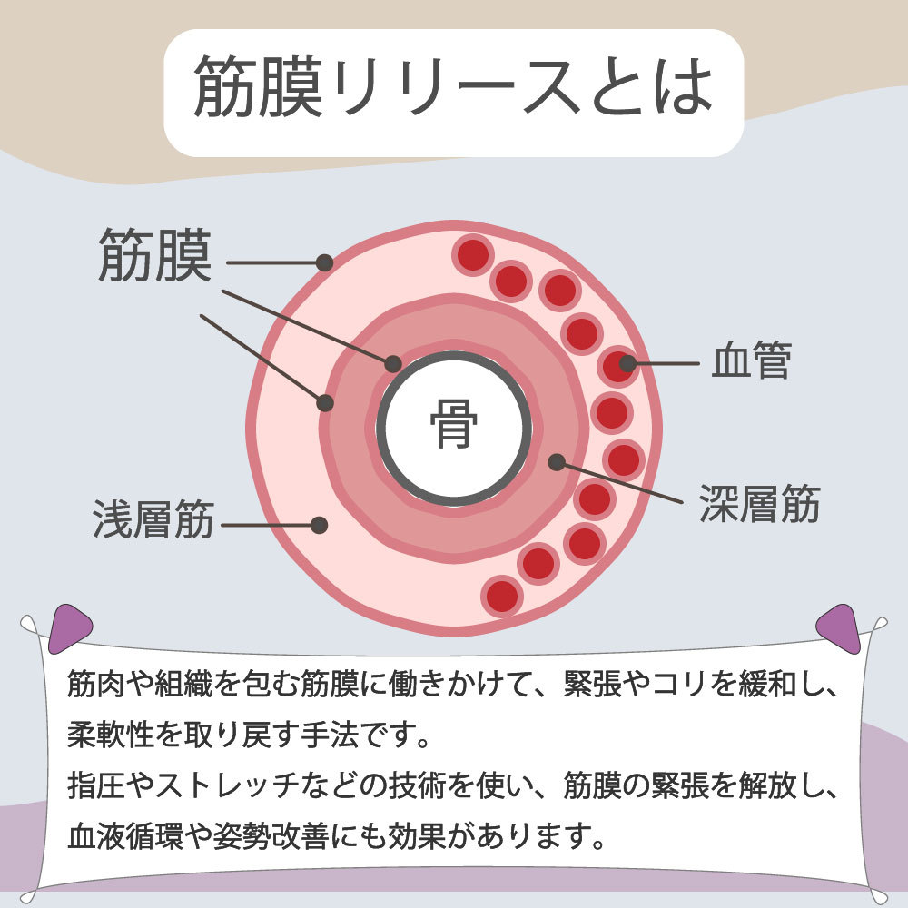 ����̵�� �襬�ݡ��� ���ȥ�å������顼 ��������顼 ���� ���ȥ�å��ѥݡ��� �ݡ��� ������������ �襬�����顼 ���硼�� �ե����� �ߥ� ����ޤ� ���� ��꡼�� ������ ���ȥ�å� �����顼