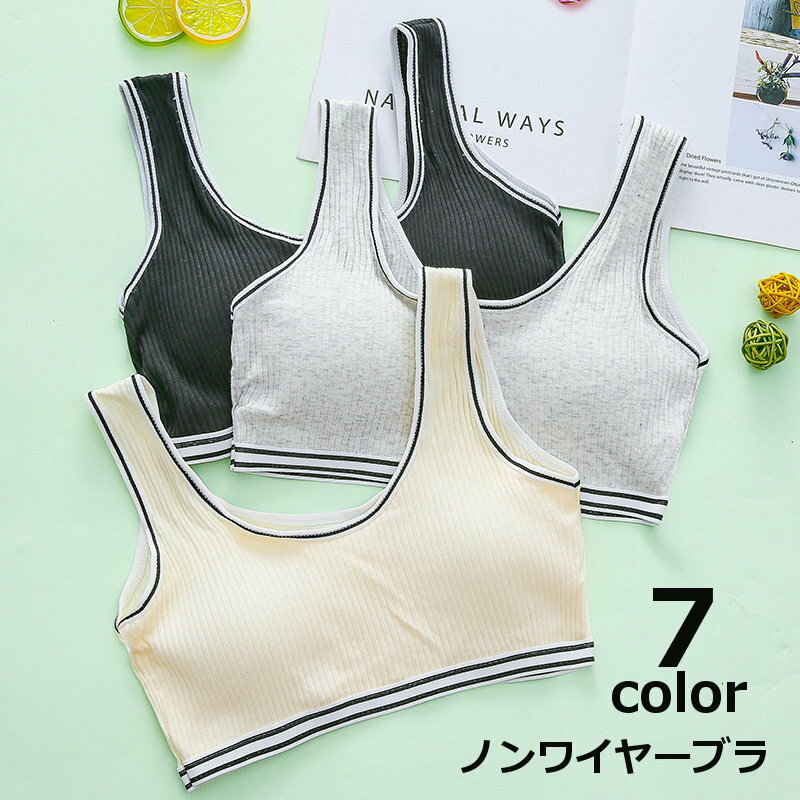 ����̵�� �Υ�磻�䡼�֥� �ϡ��եȥåץ֥� �֥饸�㡼 ���� ������ ��ǥ����� ���å��դ� �ѥå��դ� ���ݡ��ĥ֥� ��� �ʥ��ȥ֥� ������� ���襤�� ...