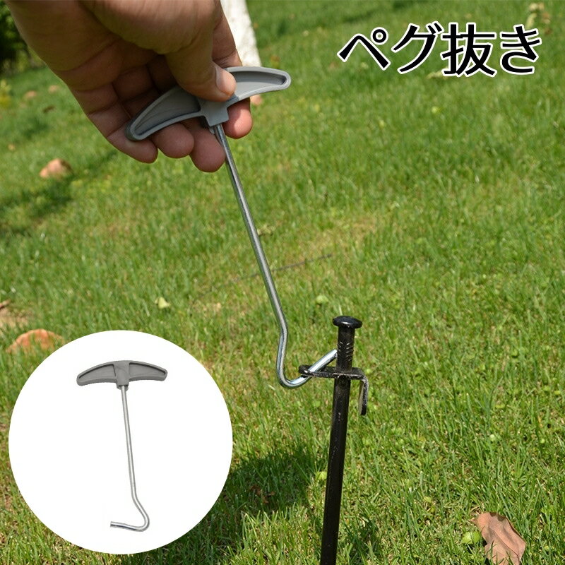 LaForest㤨̵ ڥȴ ñ ƥȥڥȴ ȥɥ  ƥ߱ ߱ դ å  ץ Ȥ䤹 ӡפβǤʤ330ߤˤʤޤ