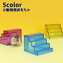 送料無料 小動物用おもちゃ 階段 遊び場 運動 小動物用ハウス ペット用品 ハムスター ハリネズミ モルモット 無地 クリア かわいい ペットグッズ 緑 紫 青 ローズ