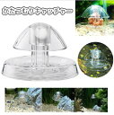 送料無料 かたつむりキャッチャー カタツムリ捕獲機 ヒル ナメクジ 害虫 トラップ 罠 仕掛け 駆除 誘引 水槽 水中 透明 クリア 簡単 プラスチック