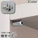 送料無料 棚受けネジ 同色10個セット ネジタイプ 棚ダボ 棚ブラケット 収納家具用部品 棚板追加 日用品雑貨 キズ防止 保護 簡単 便利