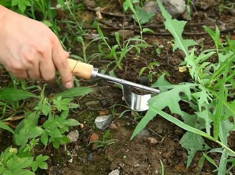 ����̵�� ����ġ��� ��ȴ�� �ƥ��դ� ���𥷥�٥� ����ȴ�� ������ �����å� ���� �����ؤ� ���ڤ� �����ǥ˥����� ���ƥ�쥹 �ڤۤ��� ����� ���� �Ƥ��θ��� ��ñ ���ˤ���