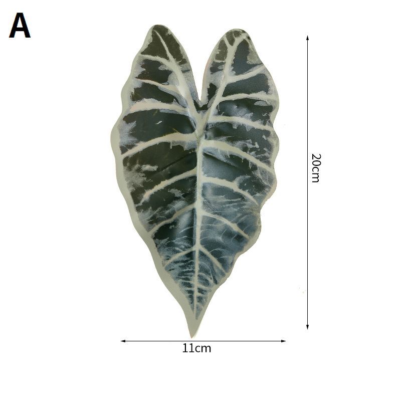 ����̵�� �ե��������꡼�� �͹����տ�ʪ ¤�� �ڤ��� �꡼�� �� �礭�� ��Ƚ �Ϥ�ʤ� ����ƥꥢ ���� ���� �ꥢ�� �ۡ��६���ǥ�