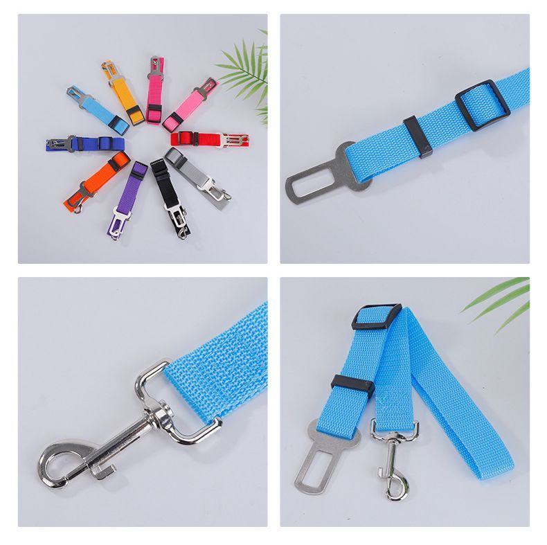 ����̵�� �ڥå��� �����ȥ٥�� ���ѥ꡼�� �����٥�� �� ǭ ������ ��ñ���� ���ӽФ��ɻ� �ɥ饤�� �����ȥɥ� ι�� ���Ф��� ����