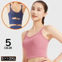 送料無料 スポーツブラジャー ブラトップ ハーフトップ 女性用 大きいサイズ 下着 ノンワイヤー 揺れない 脇高 美背中 Uネック 薄手