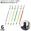 送料無料 スパイラルコード ナスカン付 スマホストラップ キーホルダー 紛失防止 落下防止 伸びる 多機能 アウトドア フィッシング 釣り