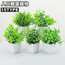 送料無料 人工観葉植物 フェイクグリーン 造花 植木鉢 緑 枯れない 植物装飾 ポット付き リアル 置き物 置物 おしゃれ ギフト プレゼント 贈り物 インテリ...