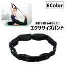 送料無料 エクササイズバンド ストレッチバンド 8段階 トレーニングチューブ ゴムバンド トレーニングベルト ループ 数字付き ヨガバンド フィットネス ダンス 柔軟トレーニング 筋トレ ストレッチ ポージング