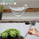 送料無料 自動水やり器 給水装置 散水器具 ガーデニング 水やり 植木鉢 鉢植え お花 植物 留守 外出中 旅行 出張 トリ 小鳥 かわいい クリア 挿すだけ