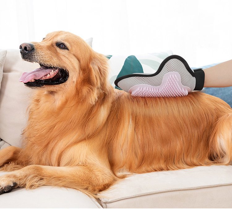 ����̵�� �ڥå��ѥ֥饷 ���޷��֥饷 ���롼�ߥ󥰼��� ñ�� 1�� �Ҽ��� ������ �� ǭ �֥�å��󥰥������� ���롼�ߥ󥰥֥饷 �ڥå����� ȴ���Ӽ�� ��������