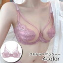 送料無料 ブラジャー フルカップブラ シースルー ワイヤーブラ 下着 女性用 レディース 婦人 レース 透け感 メッシュ 背中ホック おしゃれ かわいい