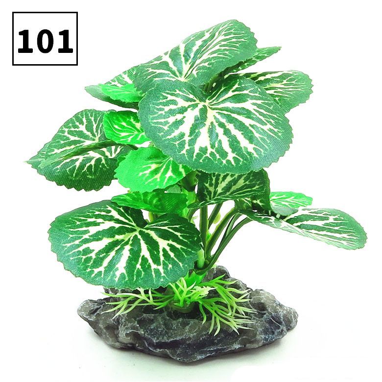 ����̵�� �͹����� �͸��ץ��� �������ƥ��å��ץ��� ����ʪ Ǯ�ӵ� ����� ��� �٥� �������ꥦ�� �ڥå����� �쥤������ �ǥ��졼����� ���� ���ȭ