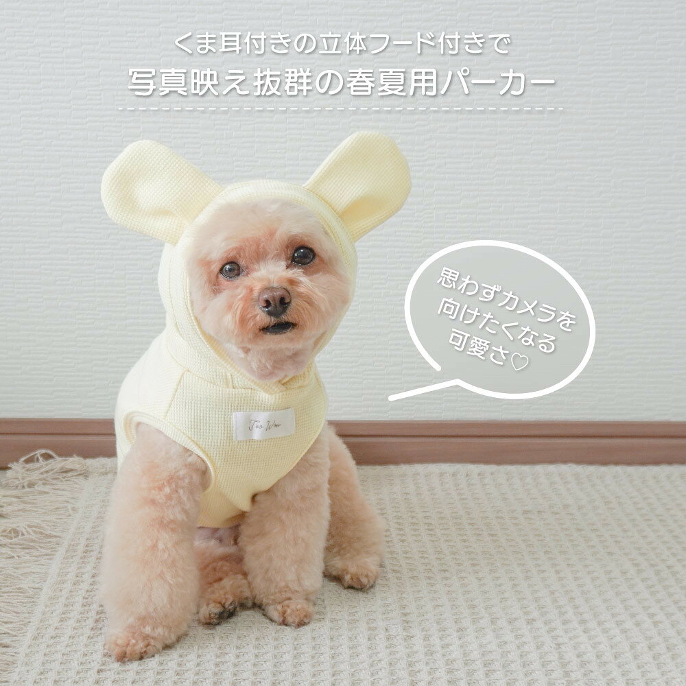サンプル画像2