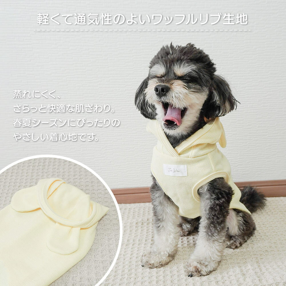 サンプル画像3