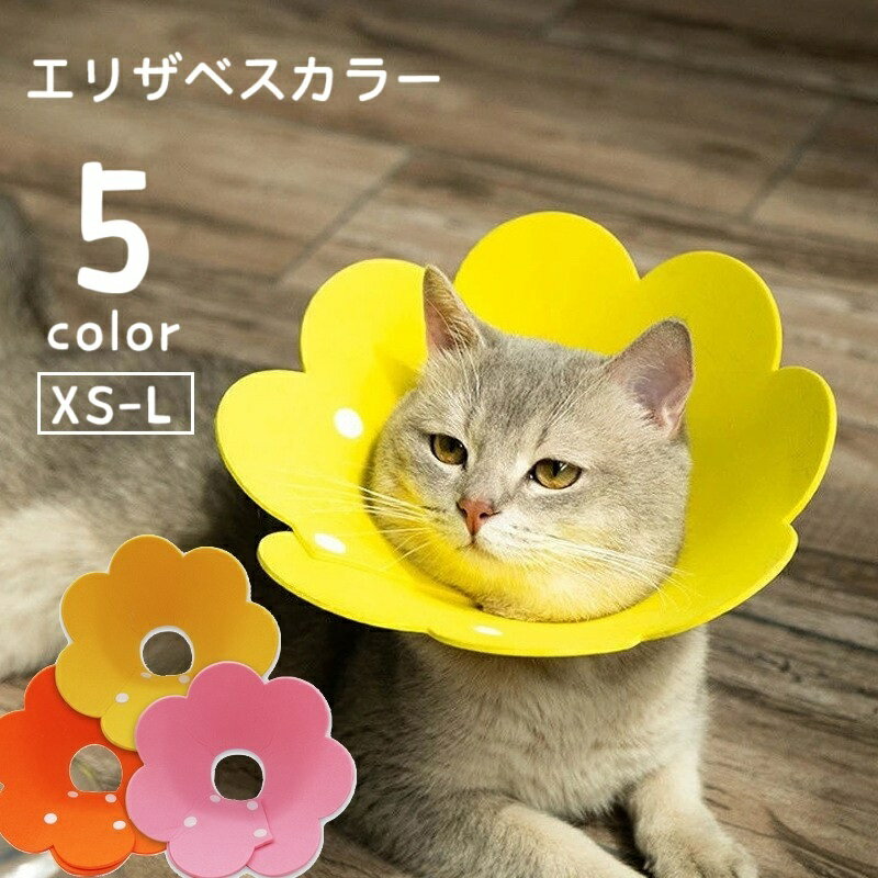 ����̵�� ���ꥶ�٥����顼 ǭ�� ���� �ڥå����� ���ʥåץܥ��� ������Ĵ���ǽ ��ñ���� ���Ӥ��ɻ� �����ݸ� �Ѹ����� �������� �����ߤ��ɻ� �ե� ...