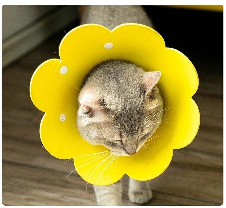 送料無料 エリザベスカラー 猫用 犬用 ペット用品 スナップボタン サイズ調節可能 ...