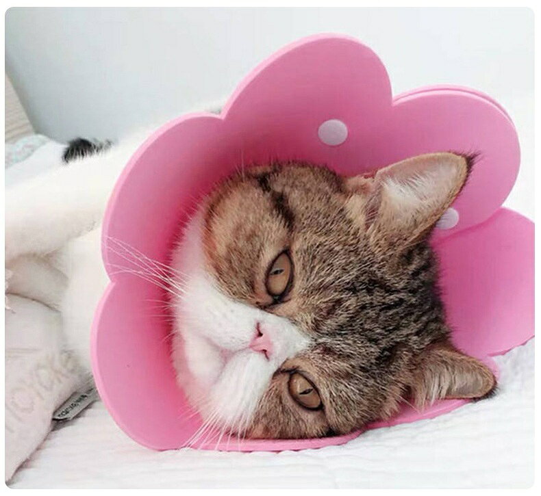 送料無料 エリザベスカラー 猫用 犬用 ペット用品 スナップボタン サイズ調節可能 ...