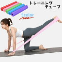 送料無料 トレーニングチューブ ストレッチバンド エクササイズバンド フィットネス トレーニング ゴムバンド 筋力トレーニング 全身 鍛える