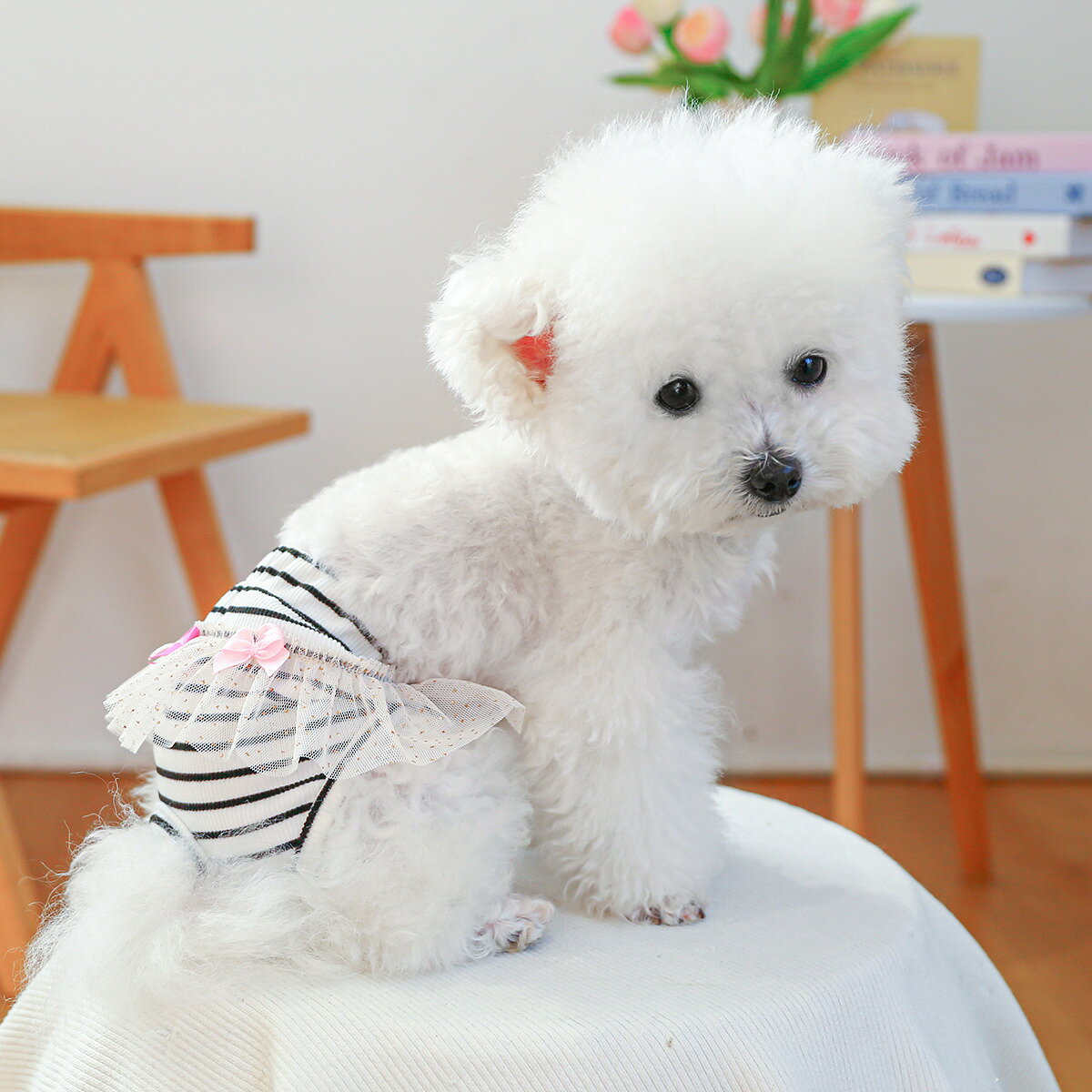 LaForestの送料無料 犬用サニタリーパンツ 生理パンツ 月経パンツ ペット用 犬用 おむつカバー マナーパンツ フリル チェック柄 レース お出かけ 散歩 かわいい｜アングル2