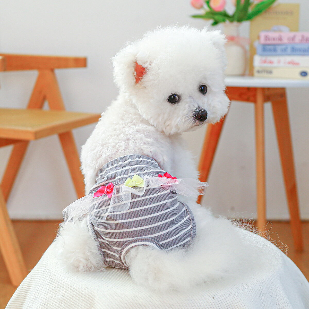 LaForestの送料無料 犬用サニタリーパンツ 生理パンツ 月経パンツ ペット用 犬用 おむつカバー マナーパンツ フリル チェック柄 レース お出かけ 散歩 かわいい｜アングル3