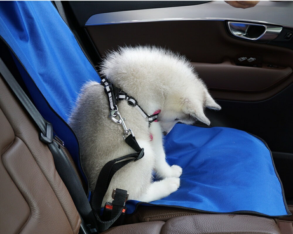 ����̵�� �ڥå��ѥ��������� ñ�� 1�� �ɥ饤�֥����� �ޥå� ���� ǭ�� �ڥå����� �ֺ� ��󥿥å��Хå��� ̵�� ���� ���к� ȴ�����к� �����ɻ� ����դ���ñ