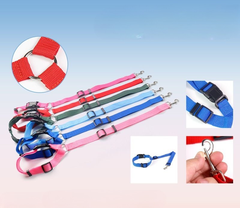 ����̵�� �ڥå��ѥ����ȥ٥�� ���ѥ꡼�� �� ǭ ���� �ͥ� �ڥå����� �������� �إåɥ쥹�� �ɥ饤�� �����ȥɥ� ��ñ���� ���ӽФ��ɻ� Ĺ��Ĵ���ǽ ����Х�˭��