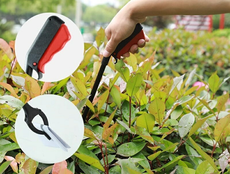 ����̵�� �ޥ��å��ϥ�� ��ǽ�ϥ�� �꡼���㡼 �Ĥ����� �ޥ��å� �ϥ�� �Ϥ� ���󥰥����� Ĺ�� ������ ���߽��� ǥ�� ����� �ȥ� �������� ���� ¿����