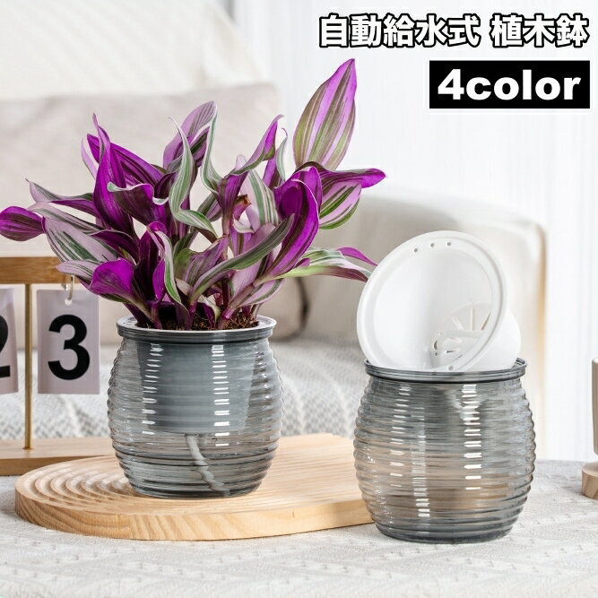 送料無料 植木鉢 フラワーポット 自動給水式 多肉植物 観葉植物 屋内 オフィス 卓上 簡単水やり プラントポット 簡単 便利 おしゃれ かわいい ガーデニング 園芸用品