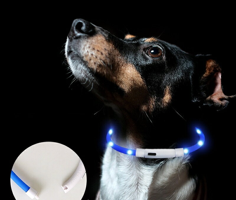 LaForestの送料無料 ネックレス LED 首輪 ペット用 犬 猫 USB充電 夜間 夜道 光る 散歩 安全対策 アクセサリー わんちゃん ねこちゃん 35cm 50cm 70cm リチウム｜アングル2