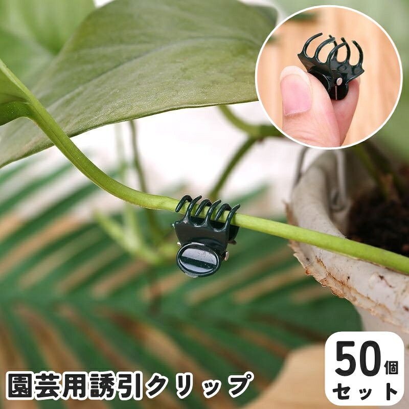 ワンタッチで簡単取り付け◎ 園芸用誘引クリップ(50個セット)です。 植物の成長をサポートする便利アイテム♪ 【サイズについて】 画像をご参照ください。 【カラーについて】 生産ロットにより柄の出方や色の濃淡が異なる場合がございます。 お使いのモニターや撮影時の光の加減などにより 画像と実際の商品のカラーが異なる場合もございます。 予告なしにカラーやデザインなどの変更がある場合もございます。 【素材について】 プラスチック