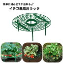 送料無料 イチゴ栽培用ラック いちごスタンド イチゴ支え棚 いちご支柱 ガーデニング 農業 園芸用品 ストロベリーサポート 誘引作業 園芸支柱 園芸棚 園芸ラッ...