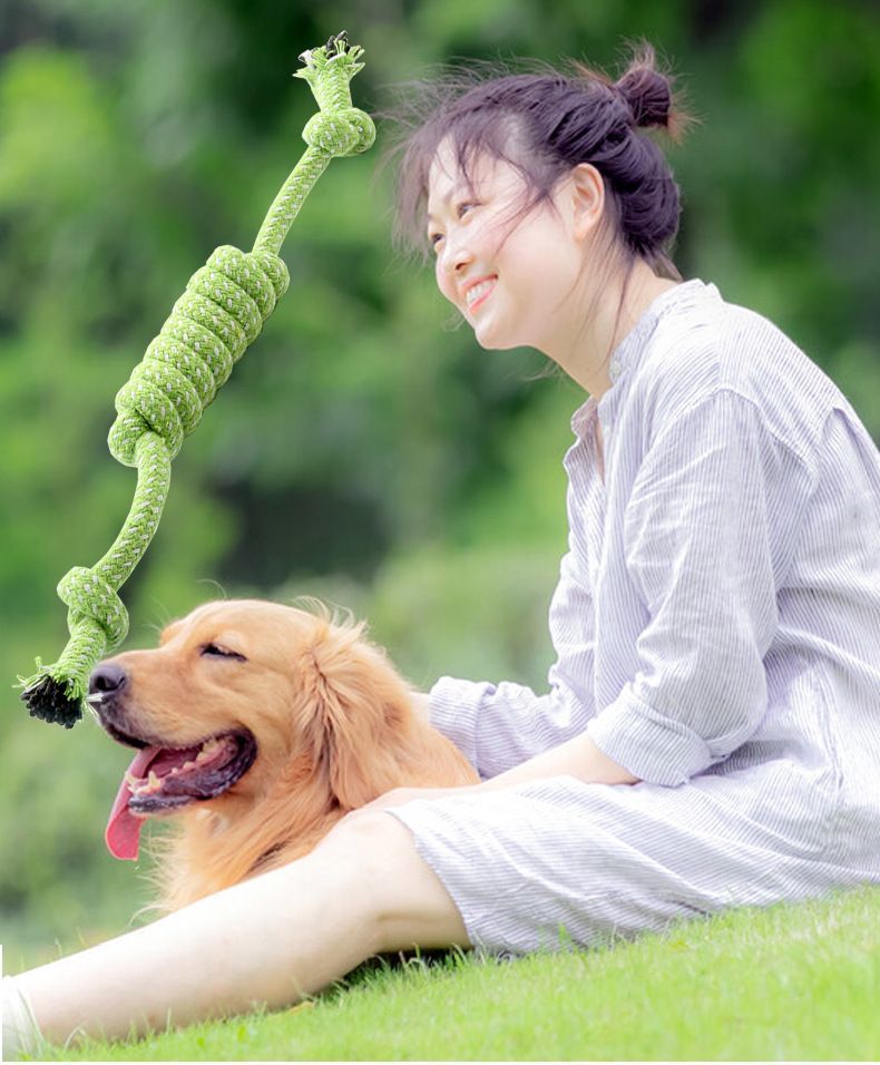 ����̵�� ���Ѥ������ 2�ĥ��å� ������ �� ɳ �ڥå����� ���प����� ��� ������� �ɥå��ȡ��� ���ȥ쥹��� ��ư��­��� �ڥåȥ��å� ���� ����