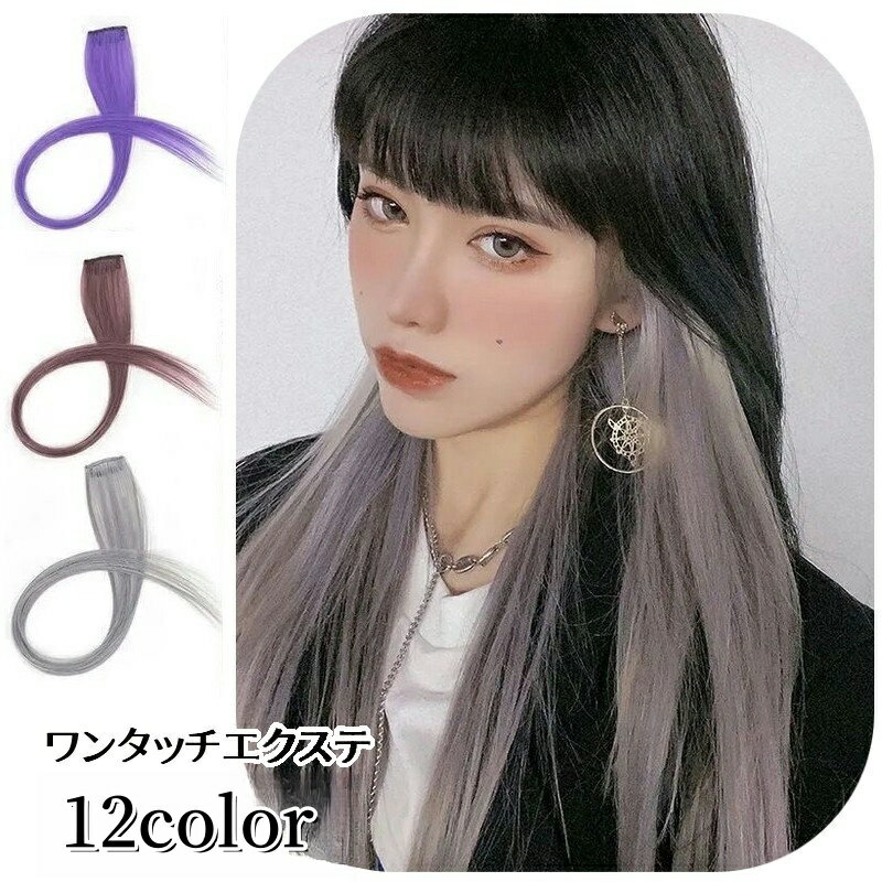 送料無料 エクステ ワンタッチエクステ メッシュ 部分ウィッグ 襟足ウィッグ レディース メンズ ロング ストレート つけ毛 つけ髪 付け毛 ヘアピース ヘアアレンジ エクステンション ワンポイント カラー おしゃれ かわいい かっこいい コスプレ 変装 仮装 ハロウィン イベン