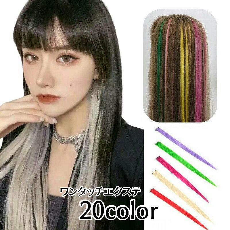 送料無料 エクステ ワンタッチエクステ メッシュ 部分ウィッグ 襟足ウィッグ レディース メンズ ロング ストレート つけ毛 つけ髪 付け毛 ヘアピース ヘアアレンジ エクステンション ワンポイント カラー おしゃれ かわいい かっこいい コスプレ 変装 仮装 ハロウィン イベン