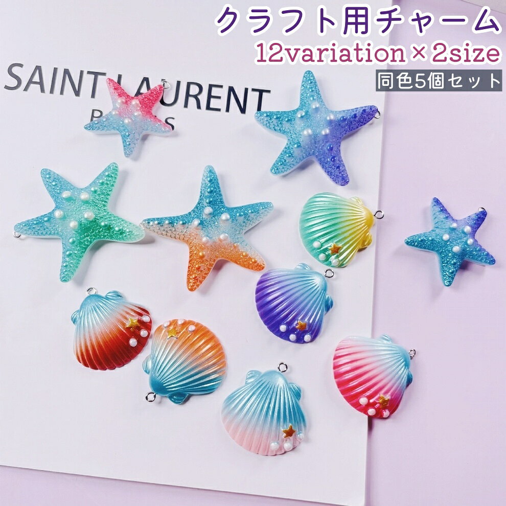 送料無料 クラフト用チャーム 5個セット レディース 女性 貝殻風 ヒトデ風 シェル風 レジン おしゃれ かわいい 可愛い 手芸 ハンドメイド DIY 飾り 装飾 アクセサリーパーツ グラデーション laforest-10118249 LaForest パッケージ画像