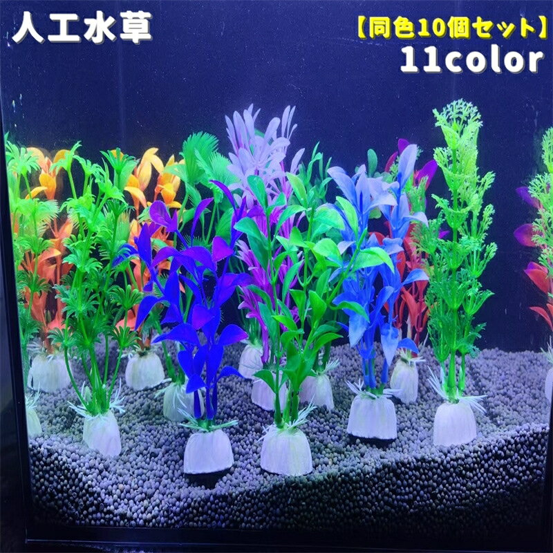 ����̵�� Ǯ�ӵ��� �͹����� Ʊ��10�ܥ��å� ���濢ʪ ���� �������ꥦ�� ���� �쥤���������� �ե����� Ǯ�ӵ� ����� ���֥��� ���� ���� �Ѿ޵�