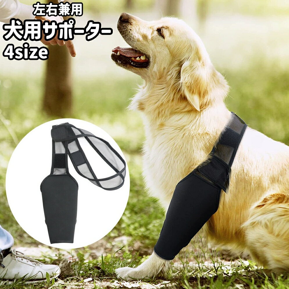 送料無料 犬用サポーター 1枚 単品 関節保護 傷舐め防止 ペット用サポーター サポーター プロテクター メッシュ 通気性 保護 左右兼用 ペット シンプル 大型犬 中型犬 前足 後ろ足 サポート ペット用品 ペットグッズ