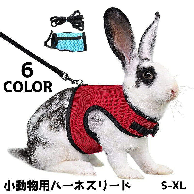 送料無料 小動物用ハーネスリード ペット用ハーネス リード 2点セット うさぎ ウサギ モルモット フェレット 子ウサギ ラビット 小動物 ペット用品 ペットグッズ お散歩 単色 無地 シンプル カジュアル