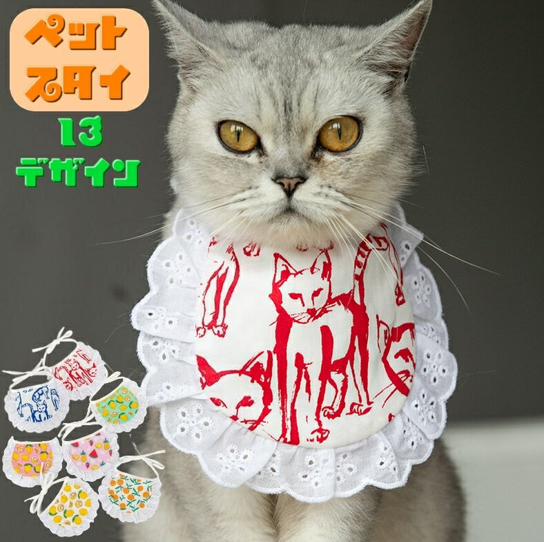 ����̵�� �ڥå��ѥ����� ����줫�� �ӥ� �ڥåȥ��å� �ڥåȥ��������꡼ ����åȥ����� �ɥå������� ǭ �� �졼�� ����Х�˭�� ���襤��