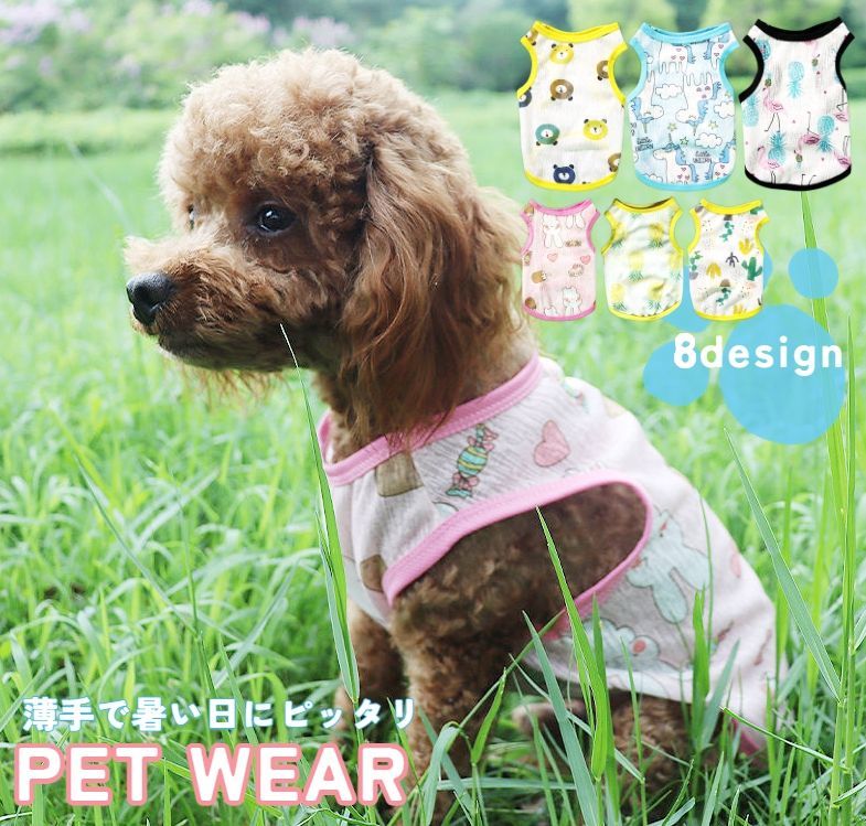 ����̵�� �ڥå��ѥ��󥯥ȥå� �ڥåȥ����� ���� ǭ�� ���ѥ����� �ɥå������� ���饹�� ���� µ�ʤ� ȴ�����к� �����ɻ� ���� ������ ��˥����� �ե�...