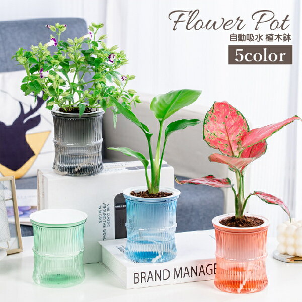 送料無料 植木鉢 フラワーポット 水耕栽培 自動給水 貯水槽付き 水やり簡単 丸型 観葉植物 多肉植物 園芸 ガーデニング 屋内 竹 節 かわいい おしゃれ シンプル