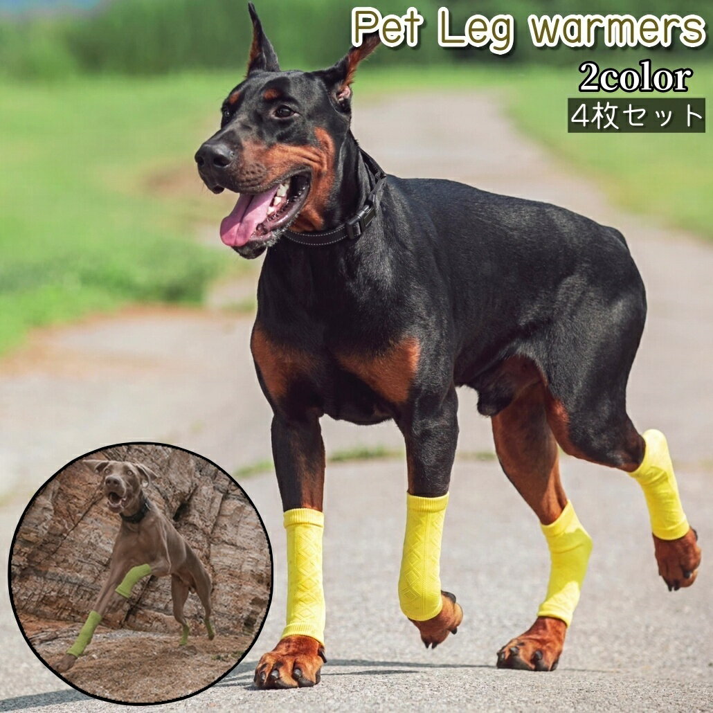 送料無料 ペット用靴下 レッグウォーマー 4枚セット 犬 猫 ペット レッグカバー レッグガード くつ下 ソックス 黄色 緑 シンプル 小型犬 中型犬 保護 汚れ防止 散歩 お出かけ