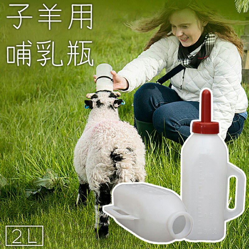 送料無料 子羊用哺乳瓶 哺乳器 動物用 ヒツジ ヤギ 子羊 仔山羊 2L 乳首付き 持ち手付き 人工 ...