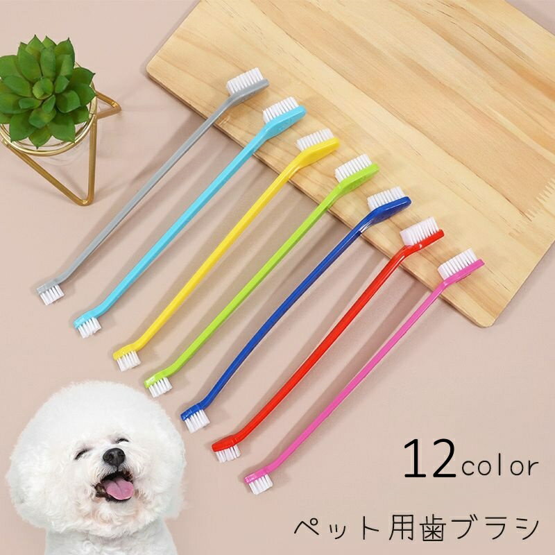 送料無料 ペット用 歯ブラシ 犬 イヌ いぬ 猫 ネコ ねこ 歯磨き 歯石 口臭 細菌除去 デンタルケア 歯周病予防 口腔ケア お手入れ ペットグッズ