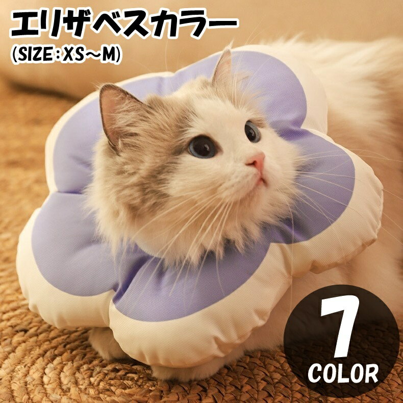 ����̵�� ���ꥶ�٥�����— ǭ �ͥ� ������ ���� ��ưʪ�� �ڥå����� �ڥåȥ��å� �ַ� �ե� ���å���󥿥��� �ӤŤ������ɻ� �Ҥä�����...