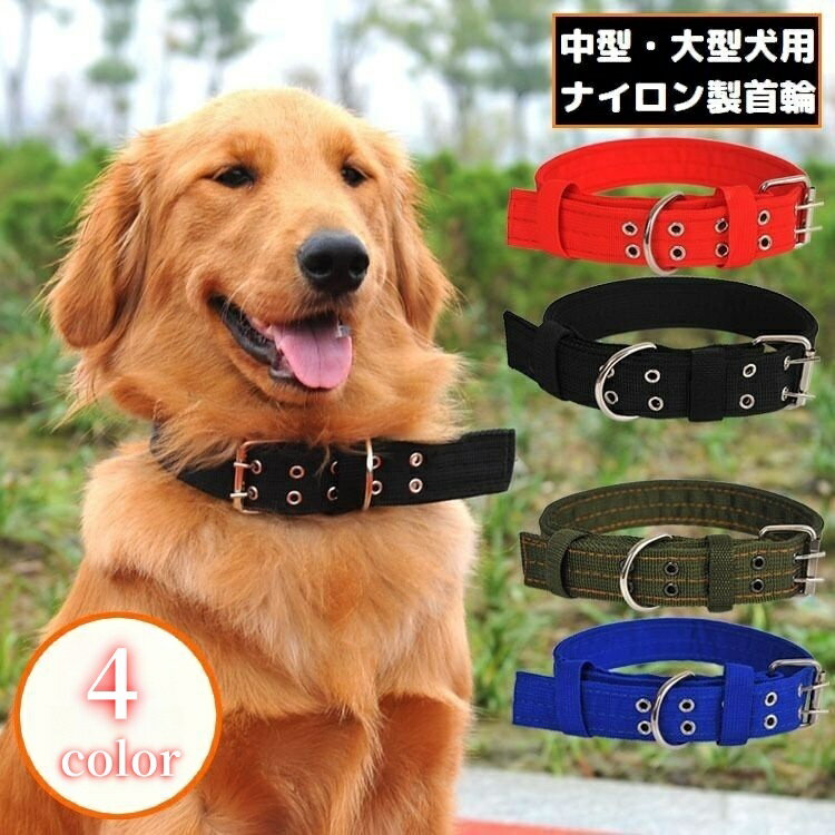 ����̵�� ���� ���顼 �緿�� �淿�� ���� �ɥå� �ڥå����� �����⥰�å� �ʥ����� ���� ���� ���� ������Ĵ����ǽ ̵�� ����ץ�