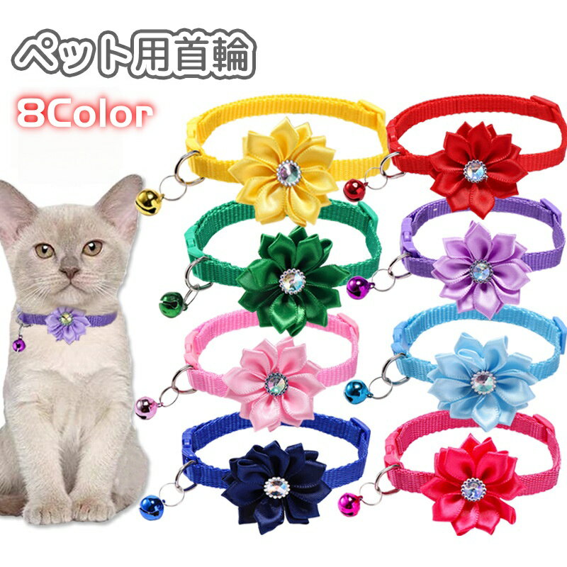 ����̵�� �ڥå��Ѽ��� ���դ� ǭ ������ �ͤ� �ͥ� ���� ���� ����� �ե� ���� D���� �ڥå����� �ڥåȥ��å� ���襤�� �������